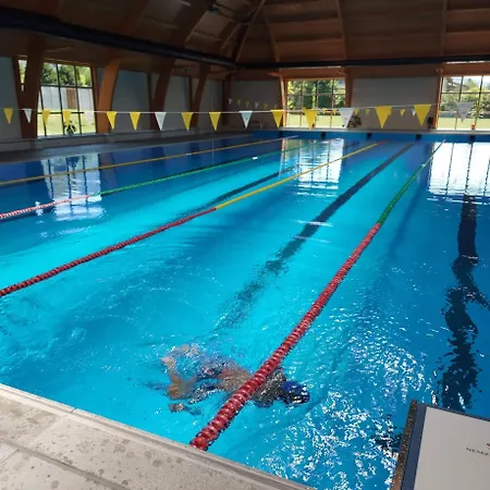 Daire Mazsola Belapatfalva