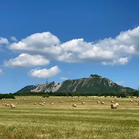 Mazsola Belapatfalva